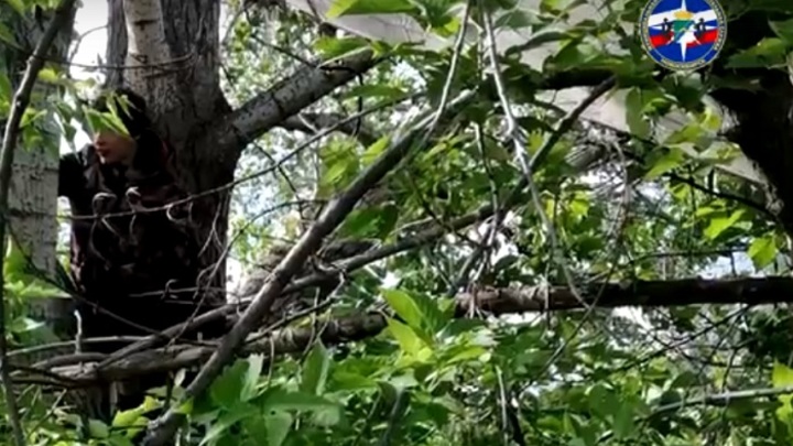 В Новосибирске спасатели сняли застрявшего на дереве подростка