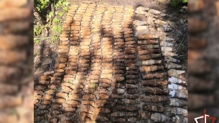 Зауральцы пошли на тихую охоту в заминированный лес