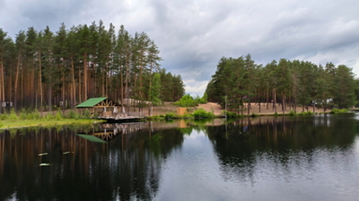 Смертельные водоёмы: Роспотребнадзор оценил риск заражения пожирающей мозг амёбой