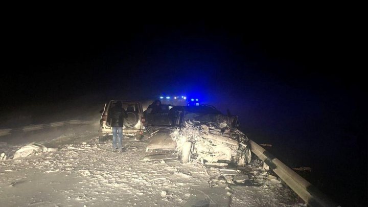 В Челябинской области в метель погибли три человека