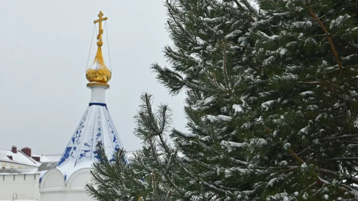 Вандализм ради искусства: создателям Жуков грозит уголовка