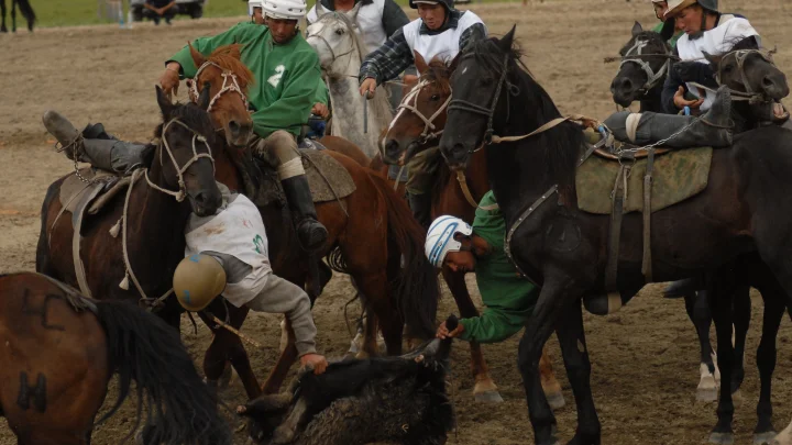 В Подмосковье мигранты снова устроили игрища с тушами козлов