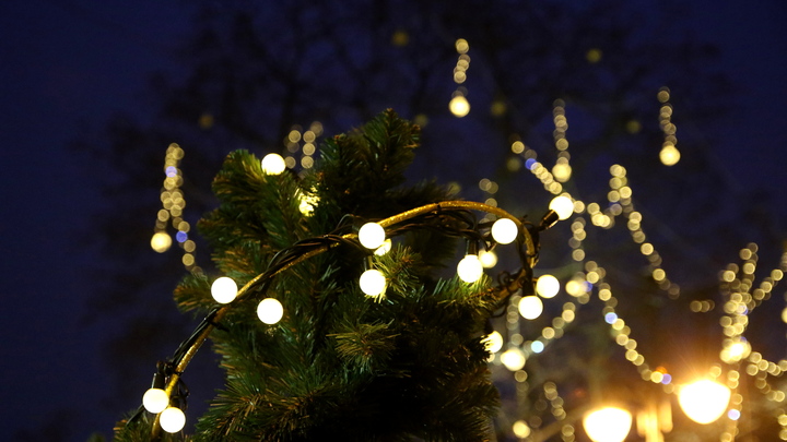 Дедом Морозом может стать каждый. В Петербурге стартует Новогодняя почта