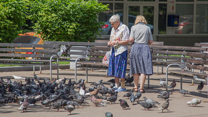 Назначат 7000 рублей: Бабушкам рассказали о полагающейся выплате