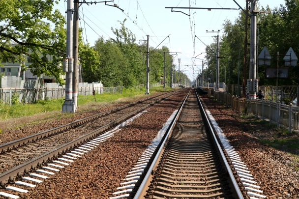 Половина тела под платформой: в Сосновом бору электричка обезглавила мужчину