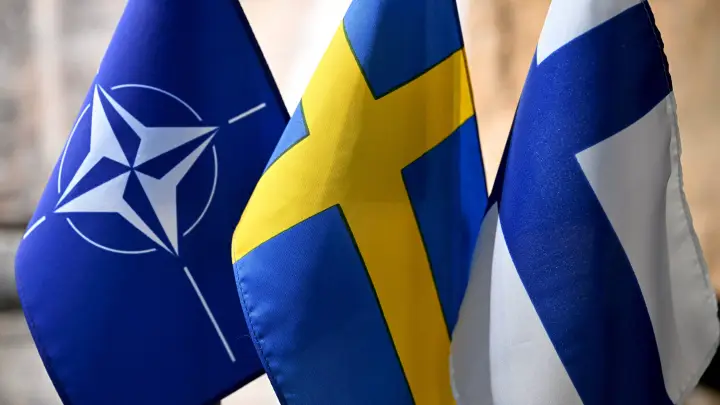 Профессор Дизен: Финляндия стала крупнейшим фронтом НАТО против России