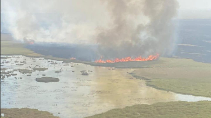 В Краснодарском крае в труднодоступной плавневой зоне горит камыш