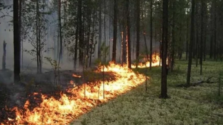 На Кубани сохраняется высокая пожароопасность