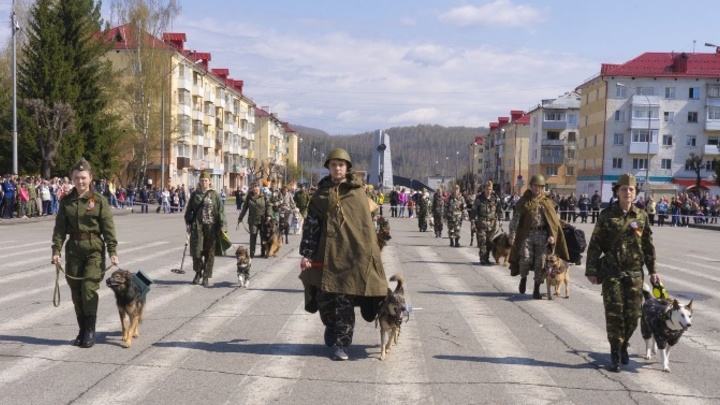 Четвероногие полки прошлись по улицам Кузбасса в День Победы