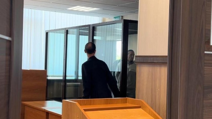 В Новосибирске арестовали предполагаемого педофила, обвиняемого в нападении на девочку