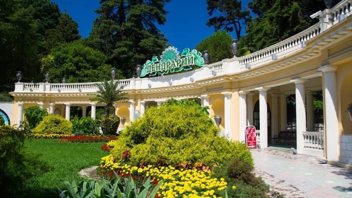 В Сочи на несколько месяцев раньше расцвели летние растения