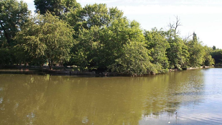 В краснодарском парке Городской сад расчистят пруд
