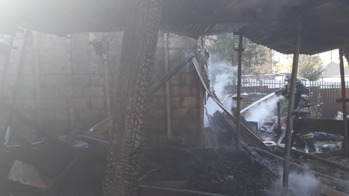 Новосибирские пожарные спасли из горящего дома девочку и двух котов