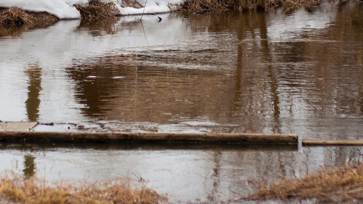 В Берёзовой пойме под Нижним Новгородом построили новую очистную станцию