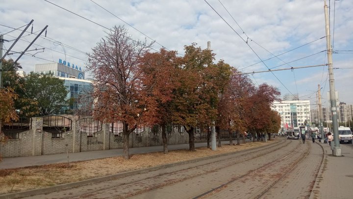 Новости Ростова-на-Дону 14 ноября 2022: первый снег и рост цен