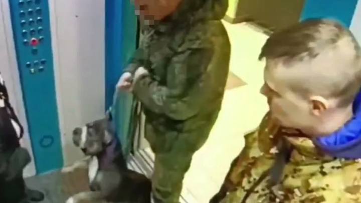 В лифте краснодарской многоэтажки питбуль укусил за лицо 4-летнего ребёнка