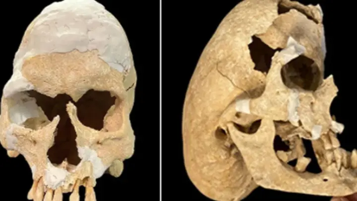 Загадочные останки рыцаря с генетической мутацией нашли в Испании