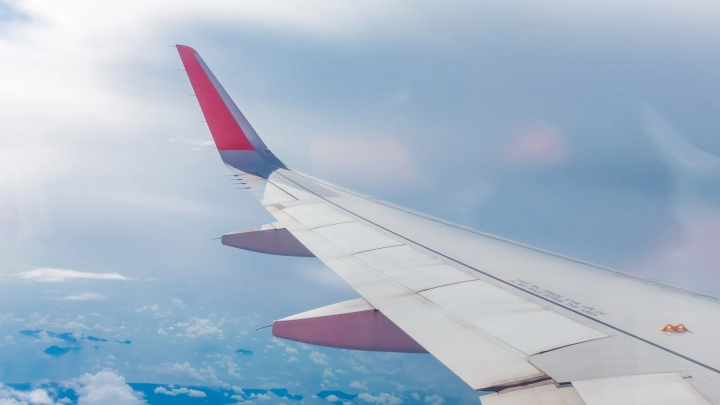 Филиппо против лжи: Политик призвал французов выйти из НАТО после инцидента с русскими МИГ-31 в Эстонии