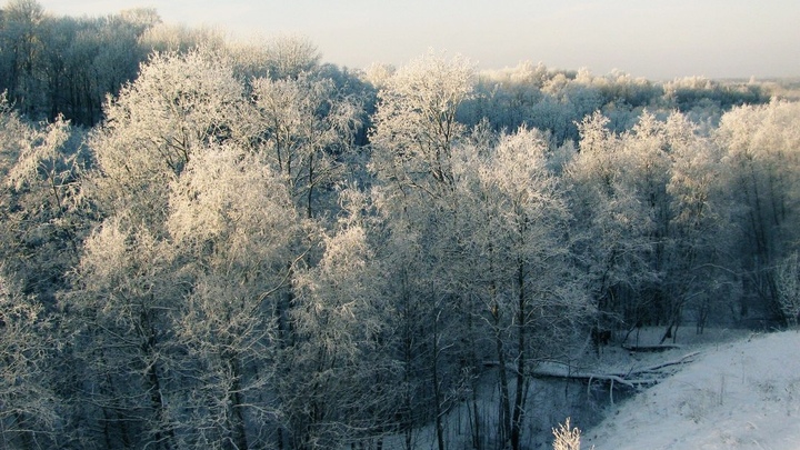 Погода в Санкт-Петербурге на 16 февраля 2023: ударит мороз до -17
