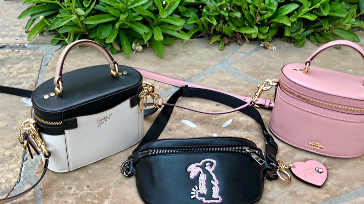 Депутат Госдумы Ростовской области засветила сумку Hermès ценой в квартиру