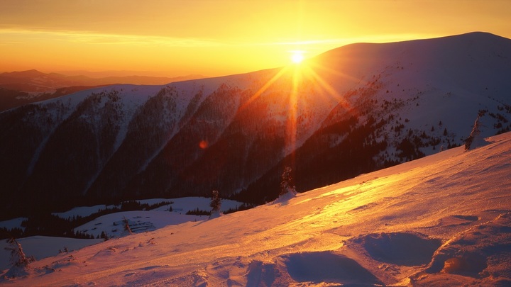 Украинские дезертиры насмерть замёрзли в Карпатах. Выжившие попались на границе