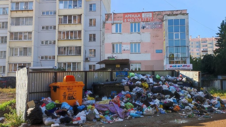 Деревья помешали: в Копейске 10 дней не вывозят мусор