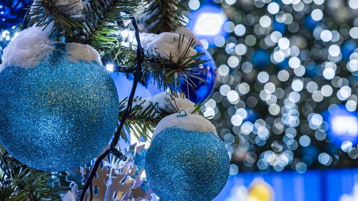 Ель росла 45 лет, но была уничтожена за миг: Владикавказ лишился главного праздничного дерева