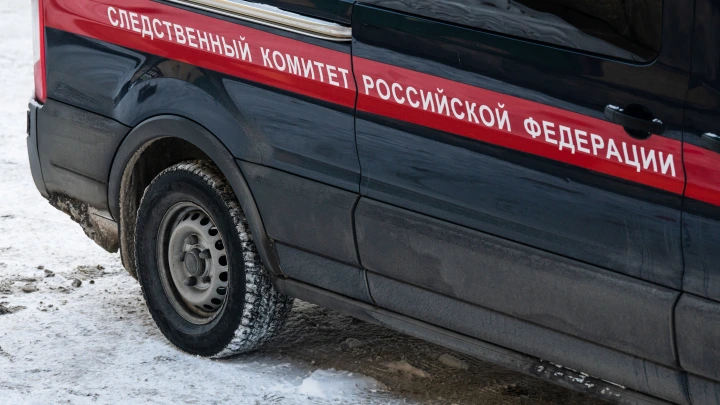 В Поморье 18-летний грабитель жестоко убил старушку в деревне Первая Гора