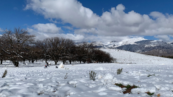 В ЮАР пришла зима: Южную Африку засыпало снегом