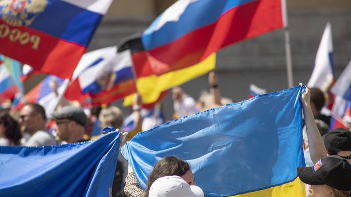 Страны Запада раскололись: Одни - за Украину, другие - за Россию