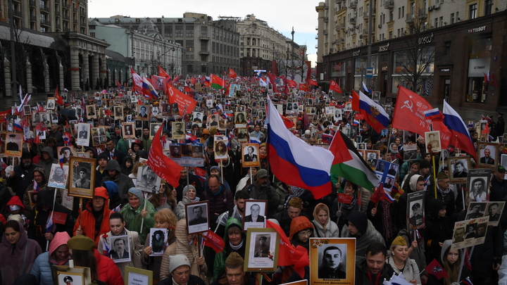 Краткое содержание бессмертный полк