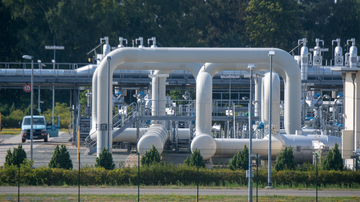 Шрёдер приехал договариваться с Путиным о газе? В Кремле озвучили свою версию