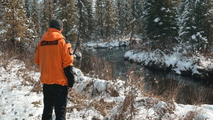 Арина нашлась, поиски семьи Усольцевых продолжаются: подробности масштабных сборов
