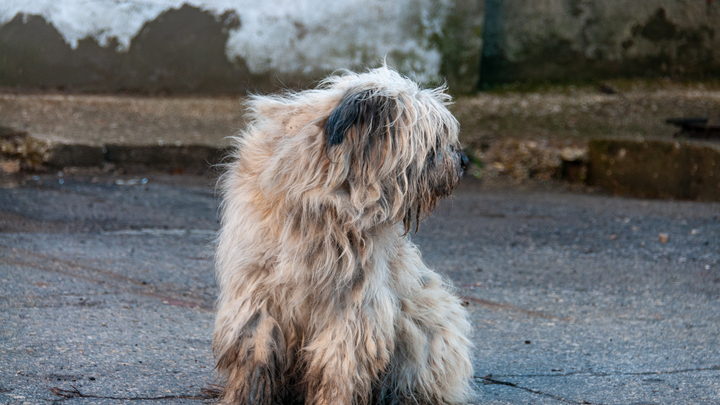 Раскрыт самый необычный способ обнаружить у человека рак