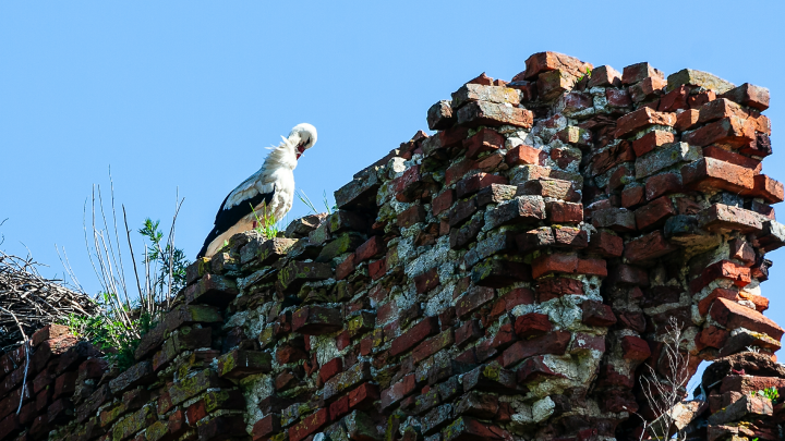 Сбывающееся пророчество для Киева. От таких символов отмахнуться не получится