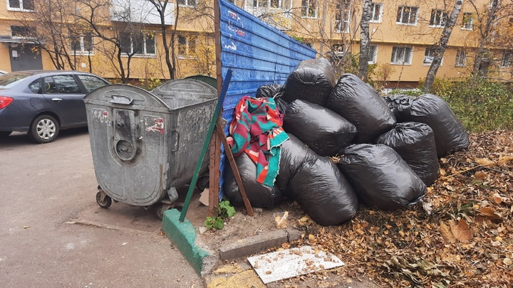 Две свалки в Нижнем Новгороде ликвидируют в 2023 году