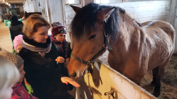 Одна лошадиная сила против Крузака: в Иркутской области конь врезался во внедорожник