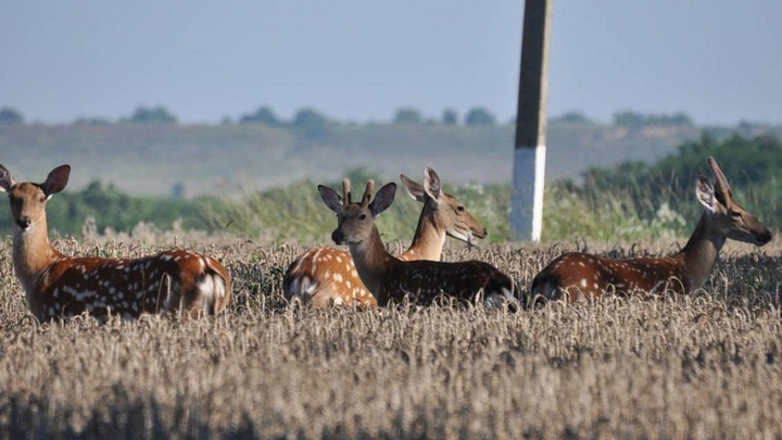 На Кубани появился природный парк «Маркотх»