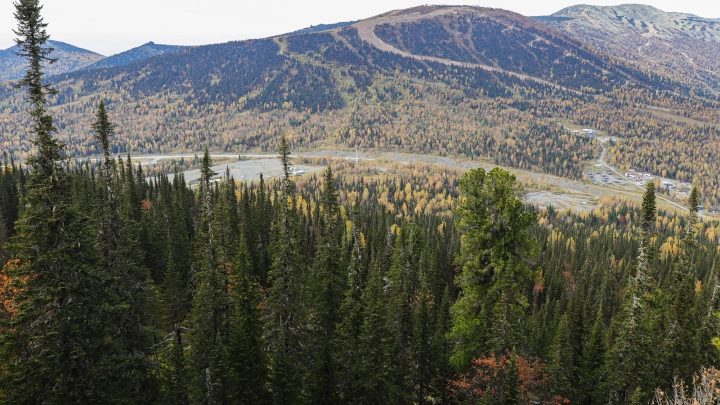 От пещеры до Таиланда. Уже два месяца продолжаются поиски пропавшей семьи Усольцевых