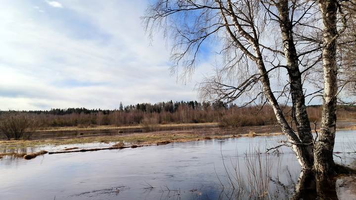 Спасатели предложили  эвакуироваться жителям Ишима в Тюменской области