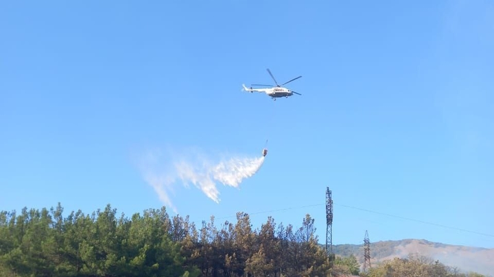 Судим, часто пьёт: стали известны подробности о предполагаемом поджигателе леса в Геленджике