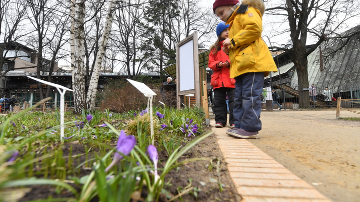 Какой сегодня праздник – на календаре 4 июня