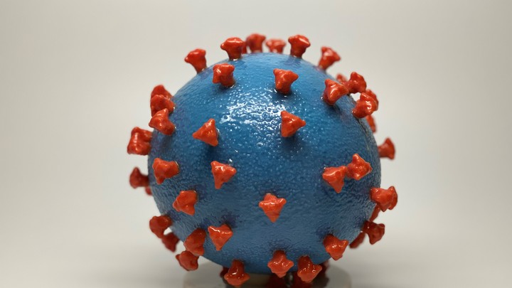 Уровень антител у переболевших COVID-19 быстро падает — Ученые