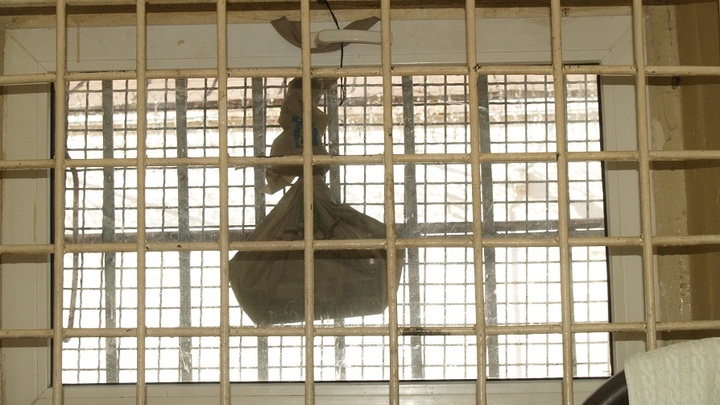 Депутаты Государственной Думы приняли закон о пожизненном заключении для педофилов