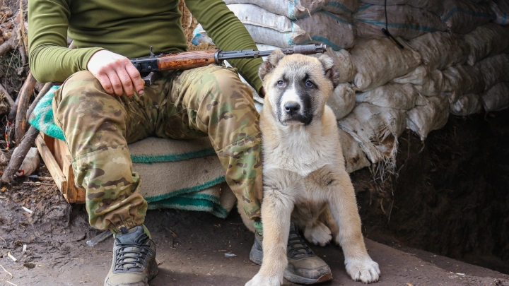 Поддубный: Азов* отказался спасать окруженные силы ВСУ в Красноармейске