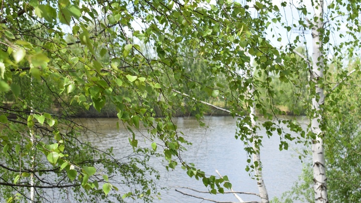 Погода в Нижегородской области в выходные: солнечно, +20