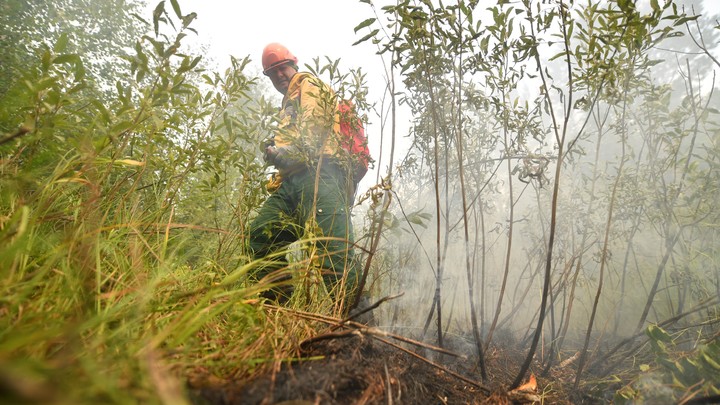 В Новороссийске семь тысяч кв. м. леса охвачено пожаром