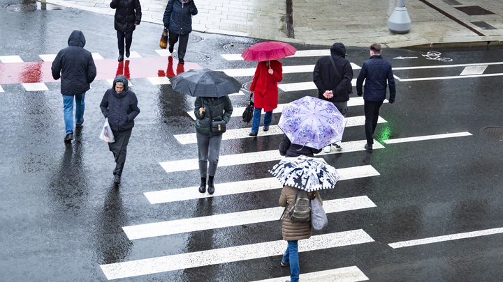 В Сочи всю следующую неделю будут идти дожди