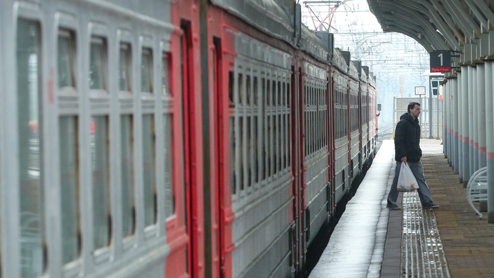 Вслед за котом Твиксом из электрички в Подмосковье высадили тойтерьера Арчи