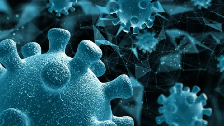 Роспотребнадзор: Пик заболеваемости лихорадкой Западного Нила ожидается в России в августе